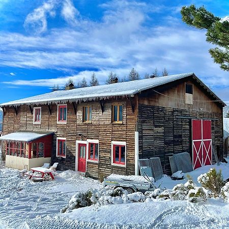 Gite Ranch Le Serpolet Bed & Breakfast เลส์ อองเจลส์ ภายนอก รูปภาพ