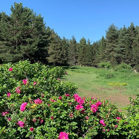 Gite Ranch Le Serpolet เลส์ อองเจลส์ ภายนอก รูปภาพ
