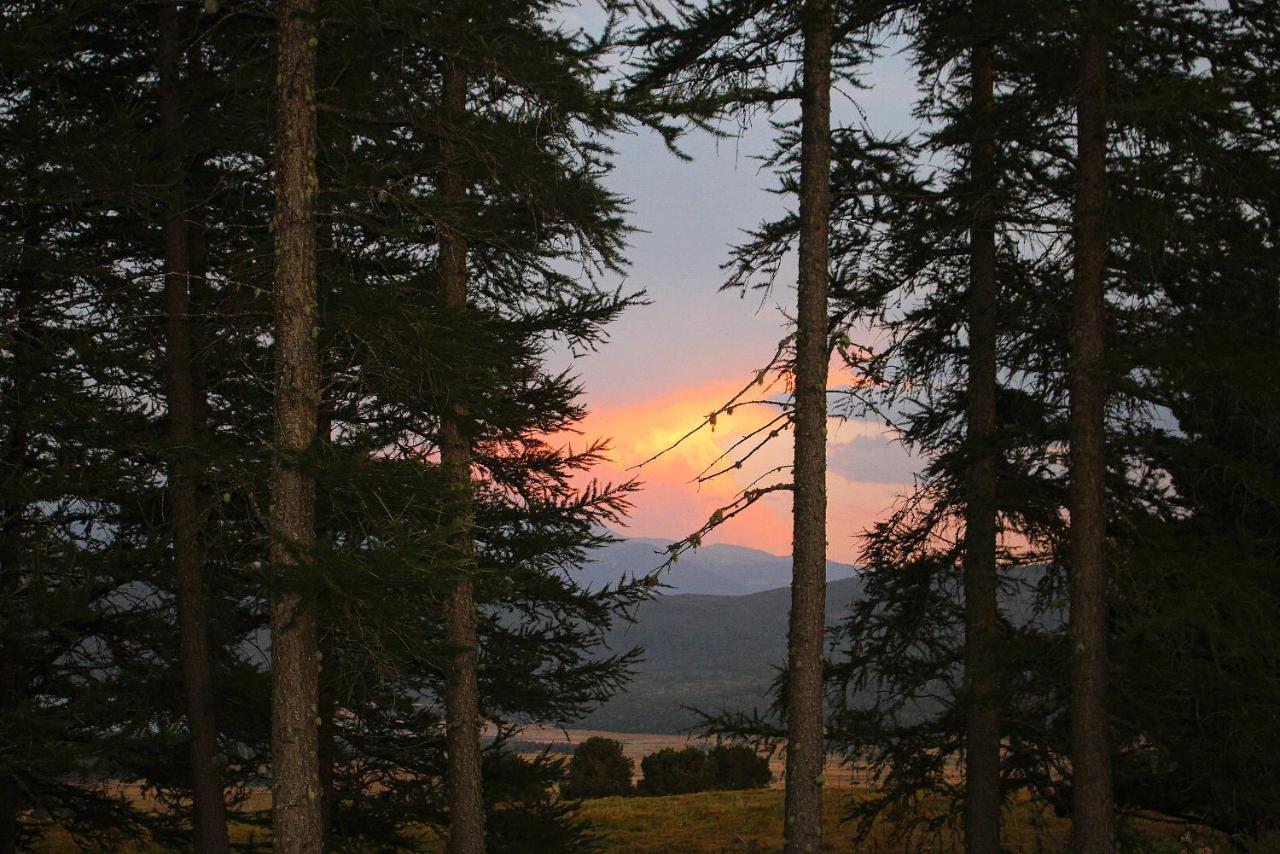 Gite Ranch Le Serpolet เลส์ อองเจลส์ ภายนอก รูปภาพ