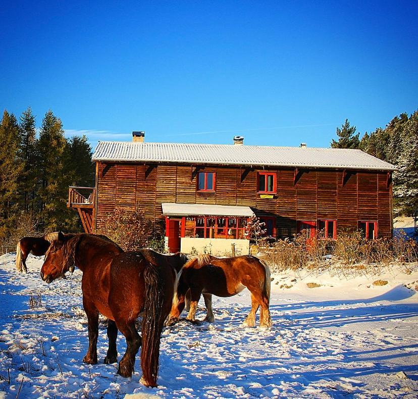Gite Ranch Le Serpolet เลส์ อองเจลส์ ภายนอก รูปภาพ