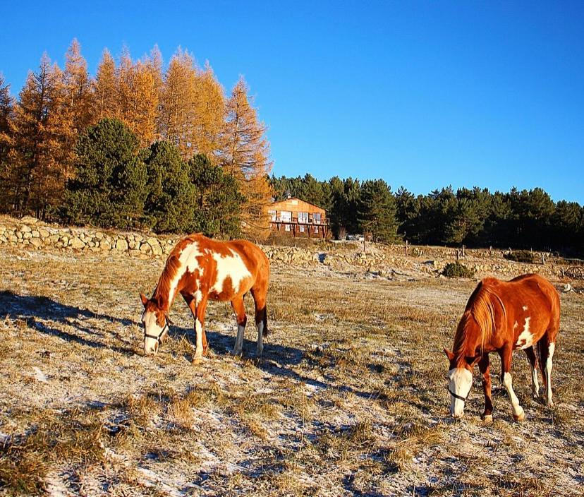 Gite Ranch Le Serpolet เลส์ อองเจลส์ ภายนอก รูปภาพ