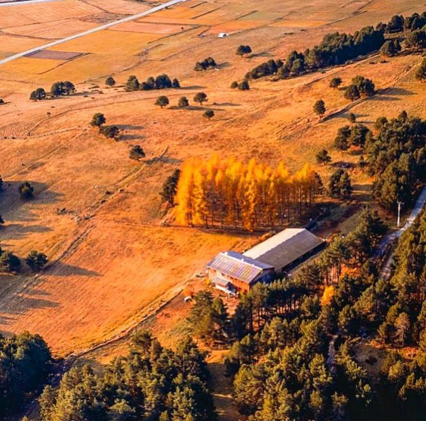Gite Ranch Le Serpolet เลส์ อองเจลส์ ภายนอก รูปภาพ