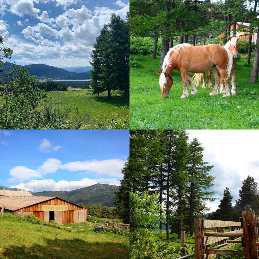 Gite Ranch Le Serpolet เลส์ อองเจลส์ ภายนอก รูปภาพ