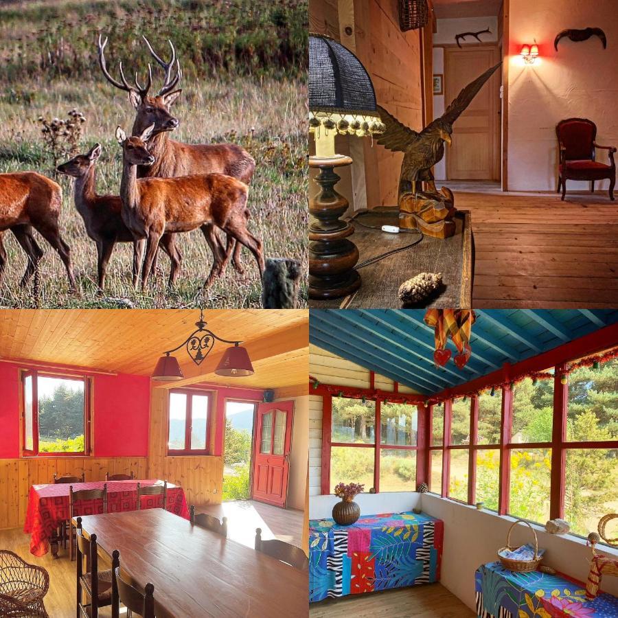 Gite Ranch Le Serpolet เลส์ อองเจลส์ ภายนอก รูปภาพ