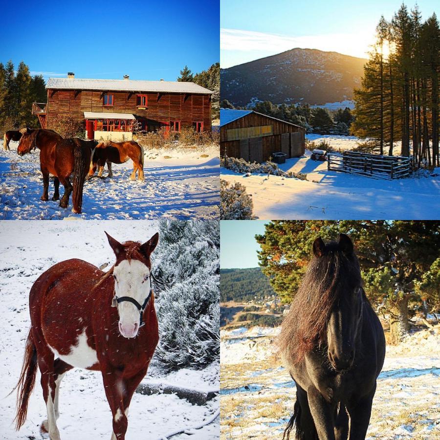 Gite Ranch Le Serpolet เลส์ อองเจลส์ ภายนอก รูปภาพ