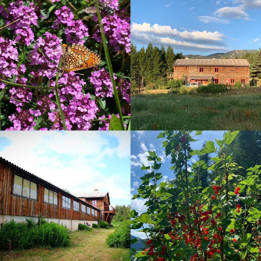Gite Ranch Le Serpolet เลส์ อองเจลส์ ภายนอก รูปภาพ
