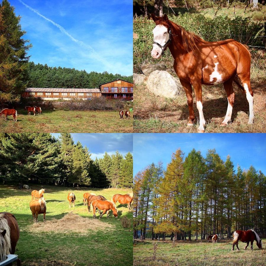 Gite Ranch Le Serpolet เลส์ อองเจลส์ ภายนอก รูปภาพ