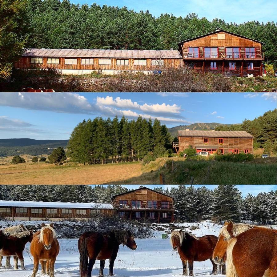 Gite Ranch Le Serpolet เลส์ อองเจลส์ ภายนอก รูปภาพ