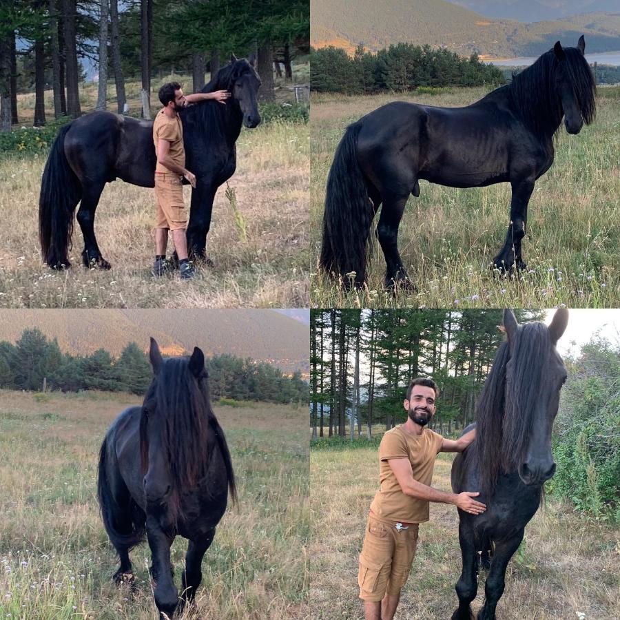 Gite Ranch Le Serpolet เลส์ อองเจลส์ ภายนอก รูปภาพ