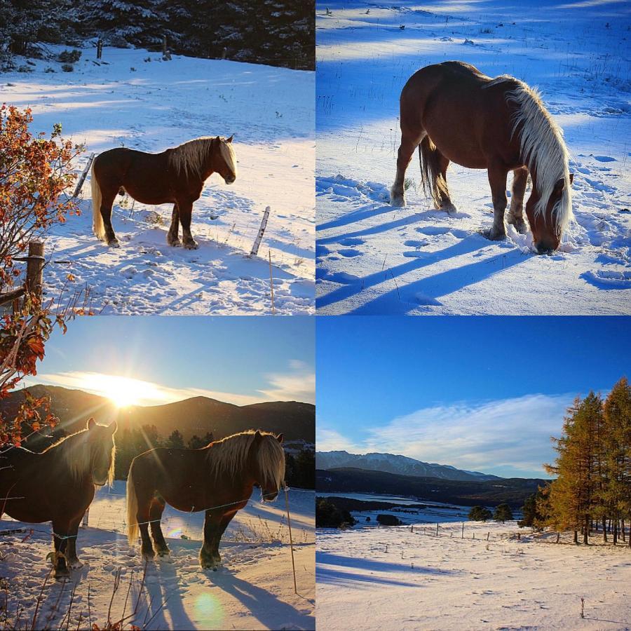 Gite Ranch Le Serpolet เลส์ อองเจลส์ ภายนอก รูปภาพ