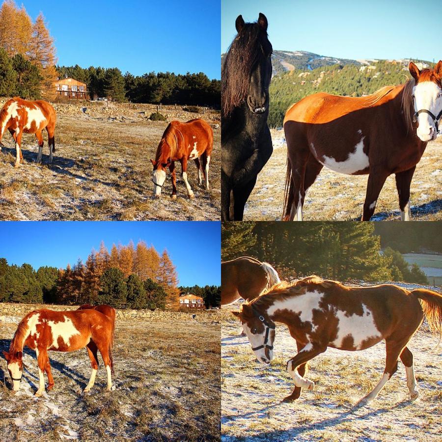 Gite Ranch Le Serpolet เลส์ อองเจลส์ ภายนอก รูปภาพ