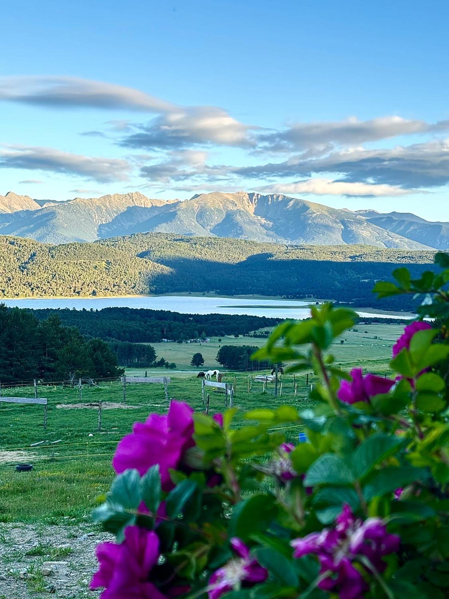 Gite Ranch Le Serpolet เลส์ อองเจลส์ ภายนอก รูปภาพ