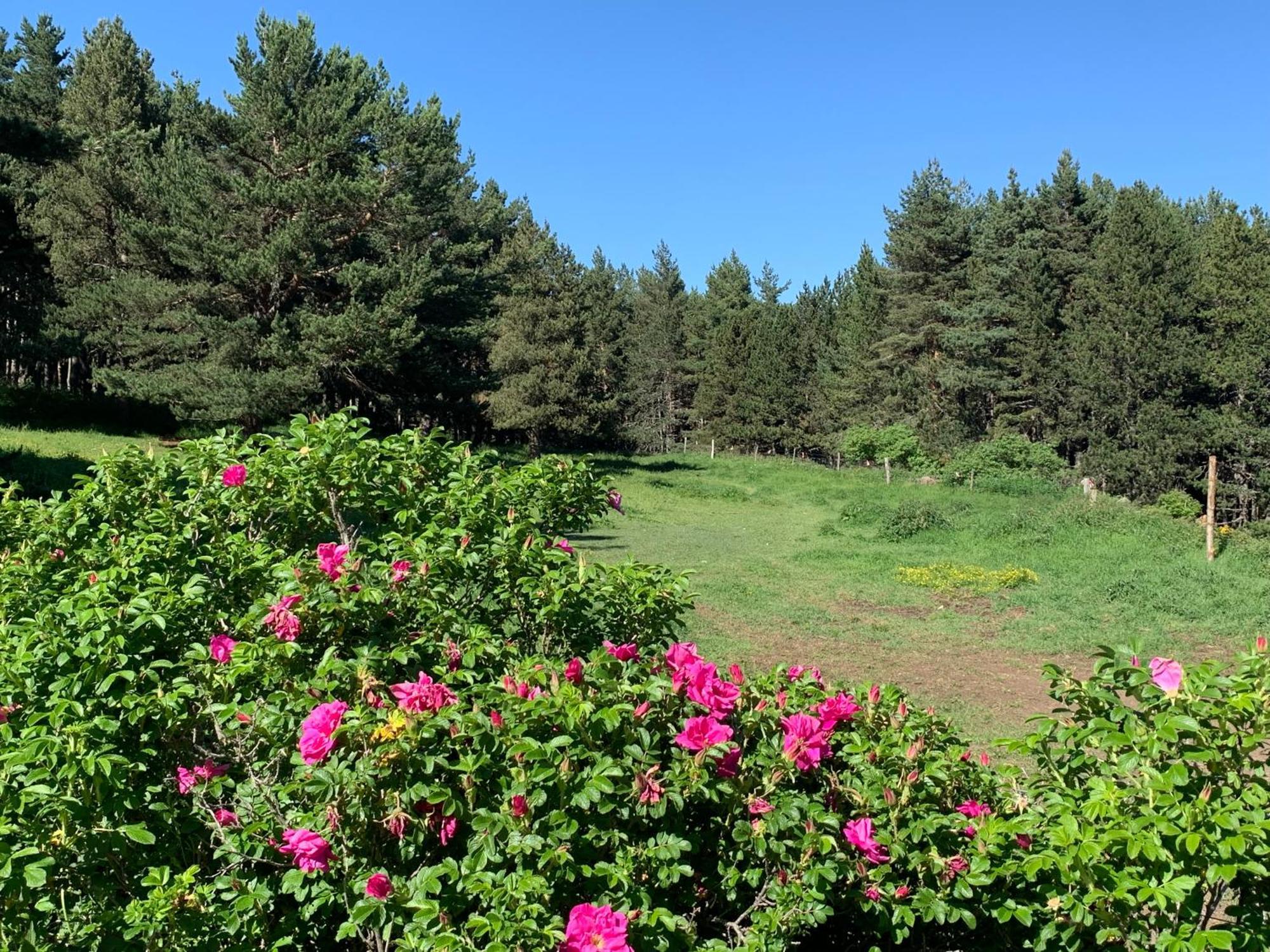 Gite Ranch Le Serpolet เลส์ อองเจลส์ ภายนอก รูปภาพ