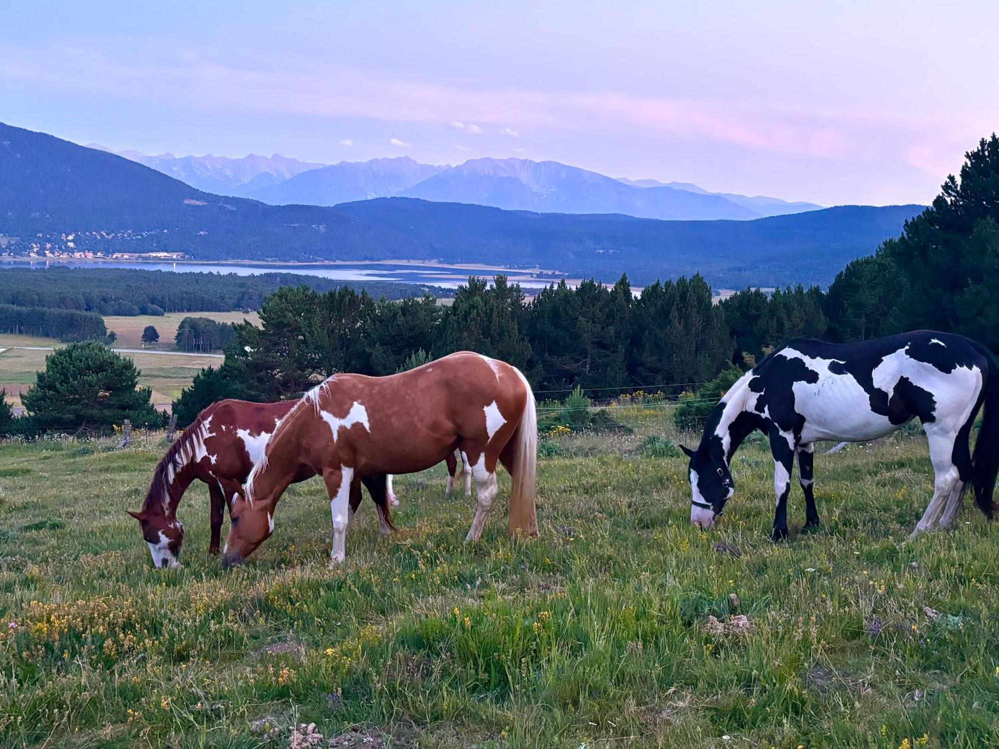 Gite Ranch Le Serpolet เลส์ อองเจลส์ ภายนอก รูปภาพ
